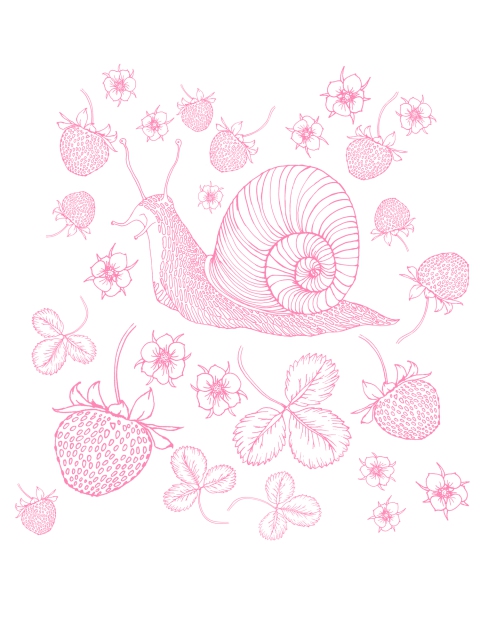 Snail 
